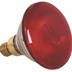 Ampoule Seule Rouge 250 W - Pujadas