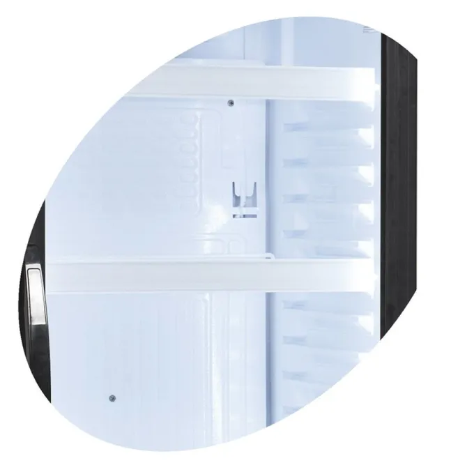 Armoire à Boissons CEV425CP 2 LED - Tefcold