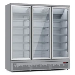 Armoire Congélateur Professionnel - Vitrée 1450 Litres - Combisteel