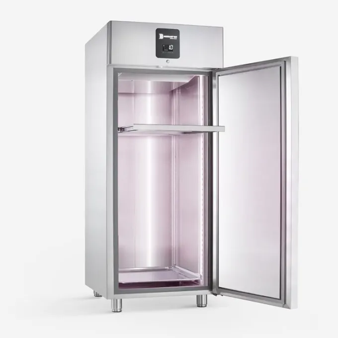 Armoire de Maturation et Affinage à Viande avec Barre 876 L Porte Pleine - Deluxe Meat - Samaref