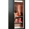 Armoire de Maturation Noire Vitrée 1 Porte - 240 L - Coreco