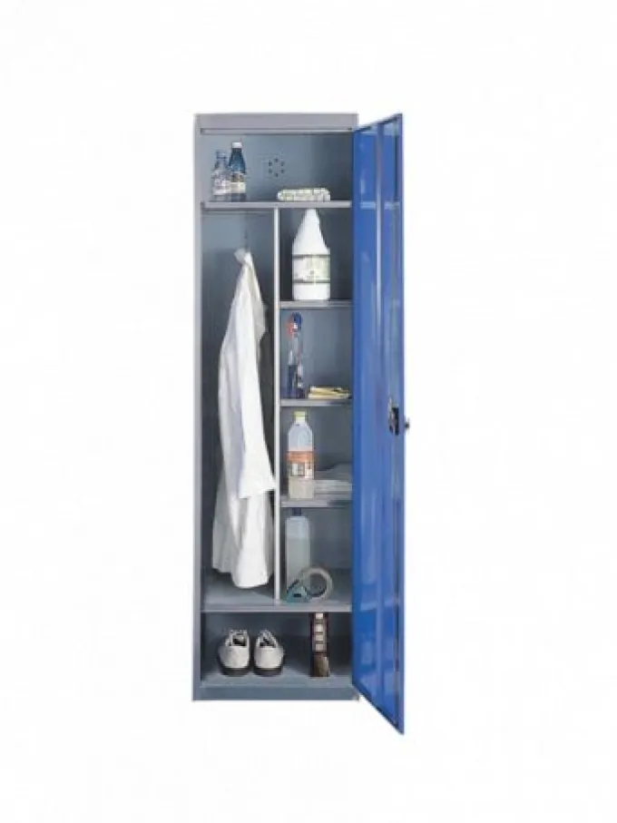 Armoire d'Entretien Monobloc 1 Porte- L 500 mm