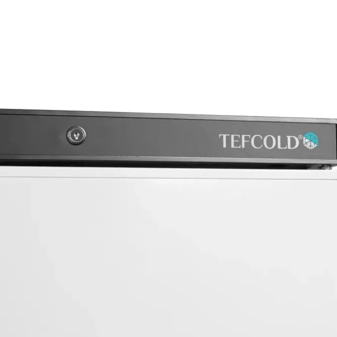 Armoire négative professionnelle de stockage UF400 - Tefcold