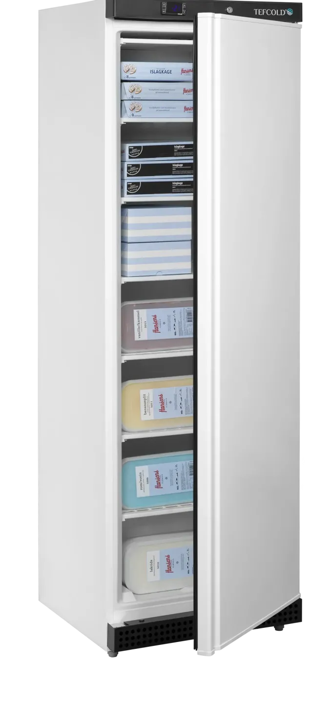 Armoire négative professionnelle de stockage UF400 - Tefcold