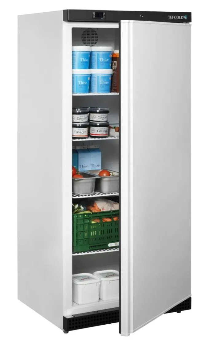 Armoire positive de stockage UR550 - Tefcold