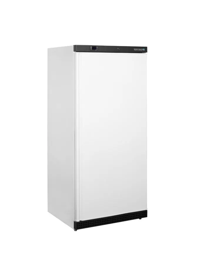 Armoire positive de stockage UR550 - Tefcold