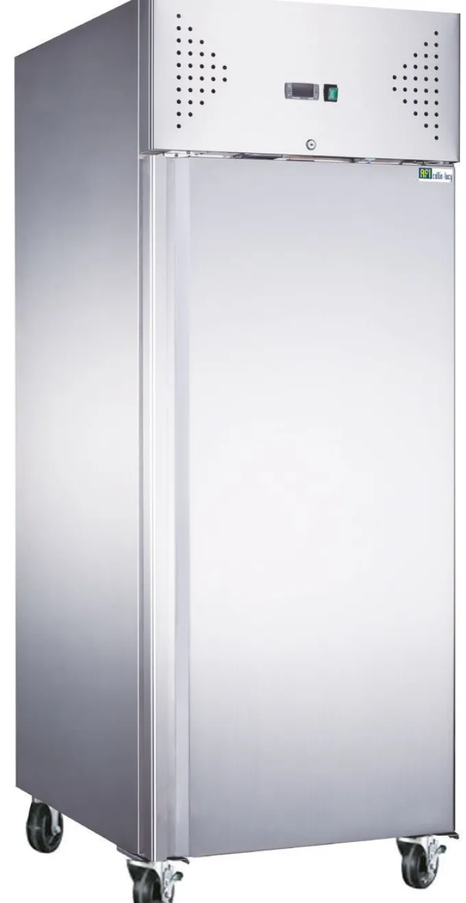 Armoire Réfrigérée Négative Série Star - 600 L - AFI Collin Lucy