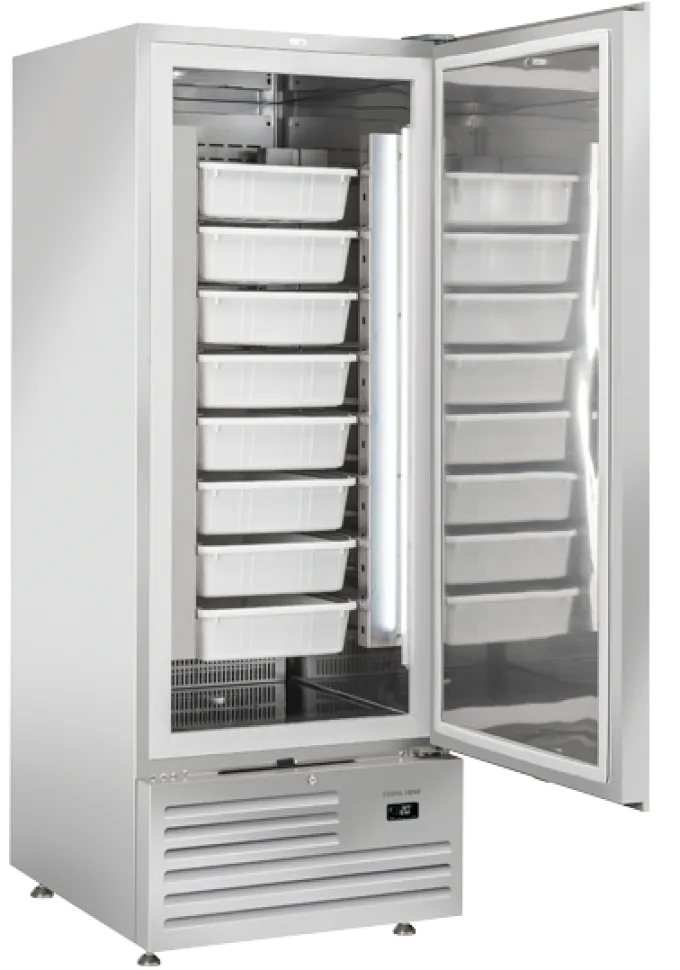 Armoire Réfrigérée Positive Spéciale Poissons - 600 L - Cool Head