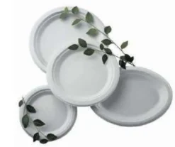 Assiette Jetable en Fibre 230 mm Blanc - Lot de 2 Colis de 500 - Matfer