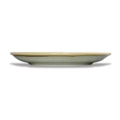 Assiette Plate Ronde Couleur Mousse 230 mm - Lot de 6