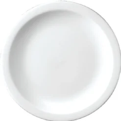Assiettes Nova Blanches Churchill 254(Ø)mm - Lot de 24