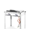 Barbecue Green Fire avec 2 brûleurs Profi Line Plaque et grille en fonte émaillée GN 1/1 - Hendi
