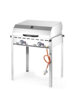 Barbecue Green Fire avec 2 brûleurs Profi Line Plaque et grille en fonte émaillée GN 1/1 - Hendi