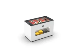Base de Buffet Réfrigéré Cuve Froid - Froid Ventilé +2/+6ºC - L 875 mm - Sayl