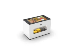 Base de Buffet Réfrigéré Plaque Froide avec Bacs - 1300x700 mm - SAYL