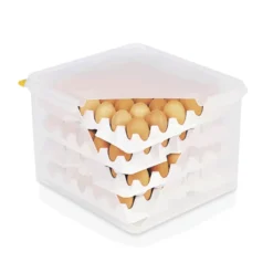 Boite à œufs HACCP en Polystyrène L 354 mm l 325 mm P 200 mm - Was Germany