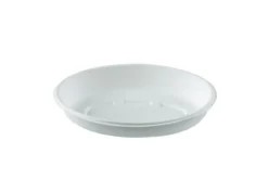 Bol ovale blanc en canne à sucre 500 ml - 300 unités - Betik