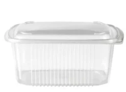 Boîte à Couvercle PP Transparente à Charnière 1500cc - 6x50 - Isap France