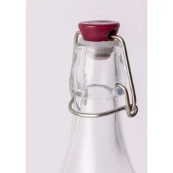 Bouteille d'eau en verre à fermeture mécanique Kilner - 250 ml