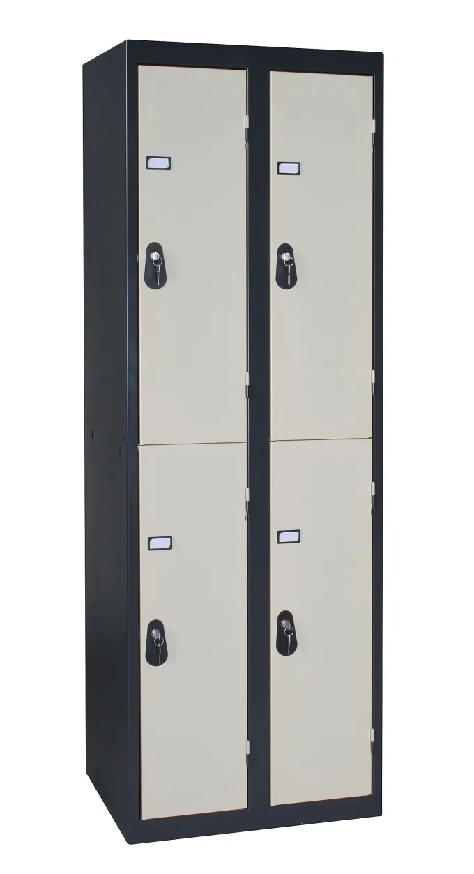 Casier Vestiaire Monobloc Acier 2 Colonnes 4 Cases - L 800 mm