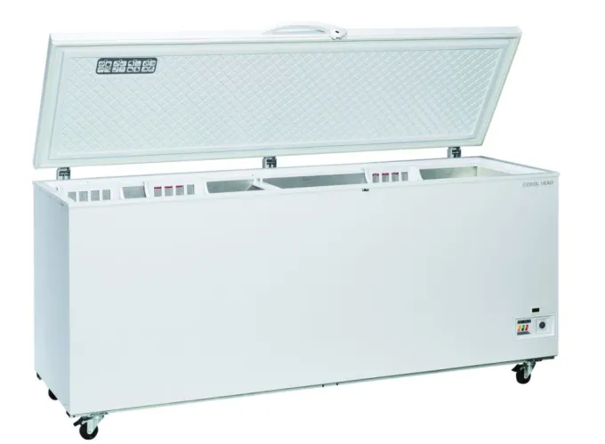 Congélateur Bahut Professionnel 700 Litres - Cool Head