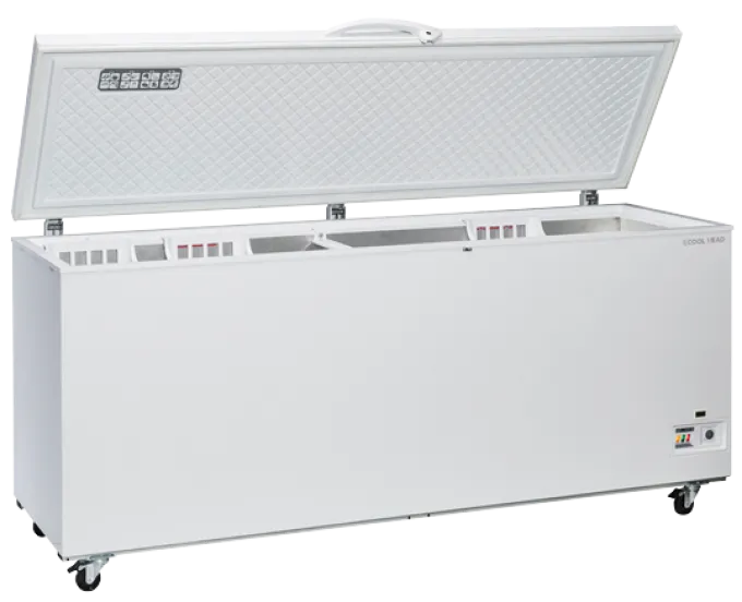 Congélateur Bahut Professionnel 700 Litres - Cool Head