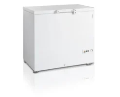 Congélateur Coffre FR305 - TEFCOLD