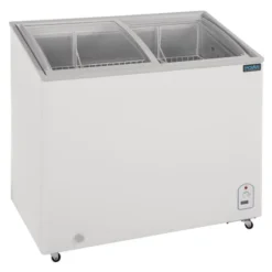 Congélateur Coffre Vitré Série G 200L - Polar