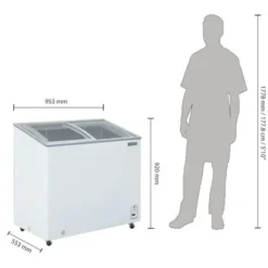 Congélateur Coffre Vitré Série G 200L - Polar