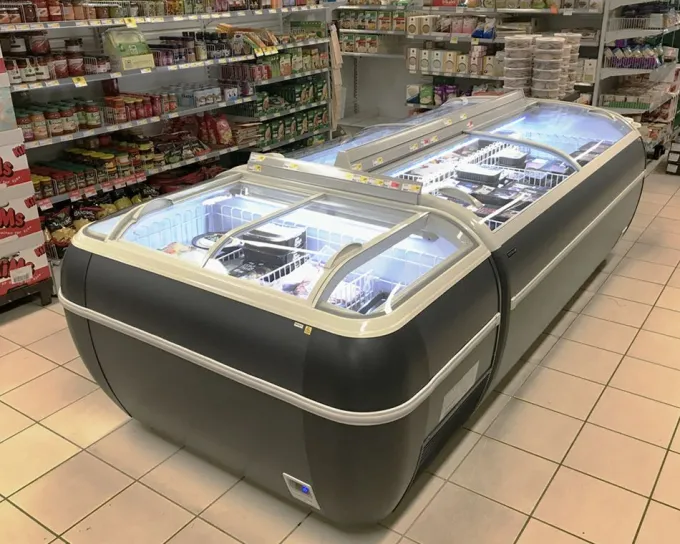 Congélateur de Supermarché TWIN HEAD-F - TEFCOLD