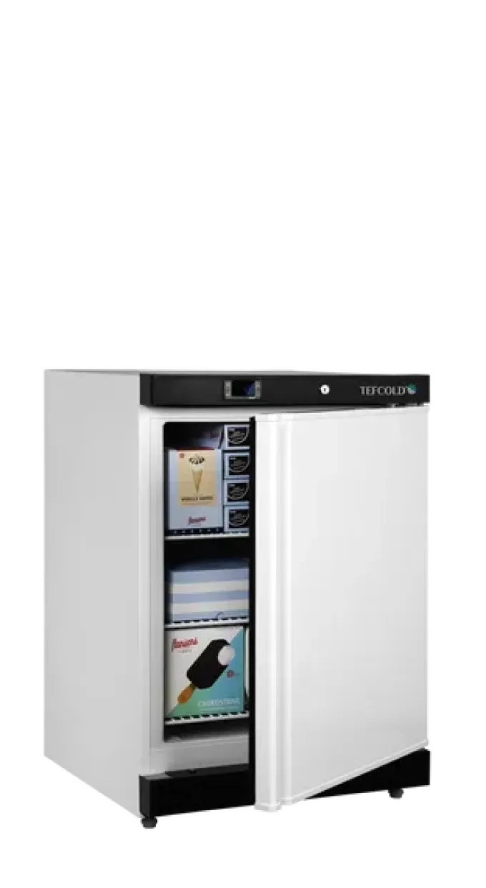 Congélateurs de stockage UF200V - Tefcold