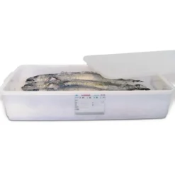 Conteneur alimentaire professionnel avec couvercle 40 L - Araven