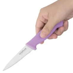 Couteau d'Office Violet 90 mm - Hygiplas