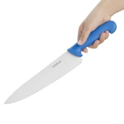 Couteau Professionnel de Cuisinier Bleu 255 mm - Hygiplas