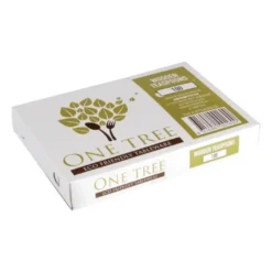 Cuillères à dessert en bois jetables 166 mm - Plastico - Boite de 100