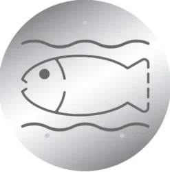 Désinsectiseur Eco-Inox décoratif - poissonnerie - Fricosmos