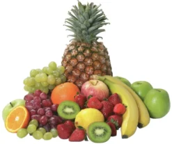 Extracteur de Jus Top Juicer - Bartscher