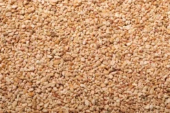 Granulés de Maïs Pour Polisseuse à Couvert - 3 Kg - Bartscher