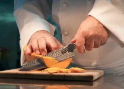 Gyuto Couteau de Chef avec Saya et Boîte en Bambou - Lame 20 cm - Kotai