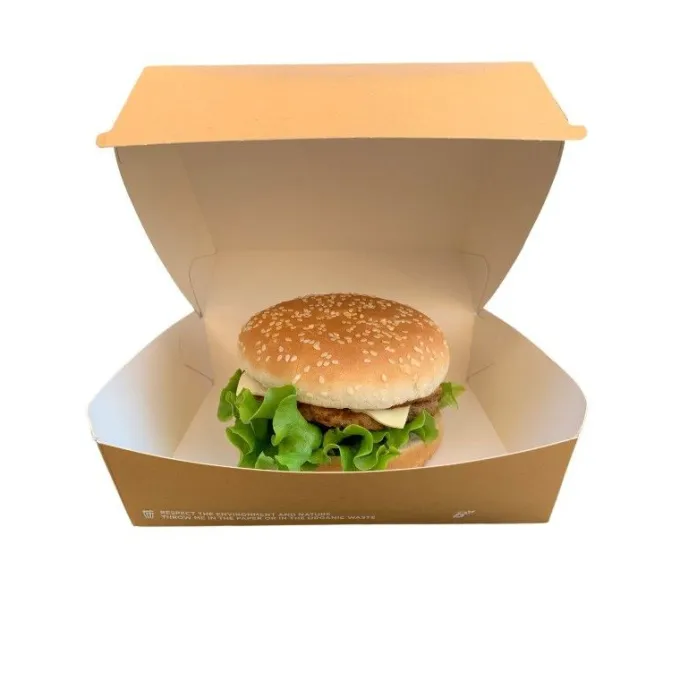 Large Boite Bio à Hamburger 16x16cm - Lot de 50 - SDG