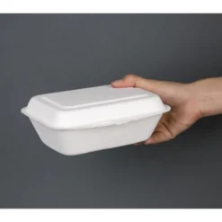 Lot de 250 barquettes à Charnière en Bagasse Compostable - Fiesta Green - DW248