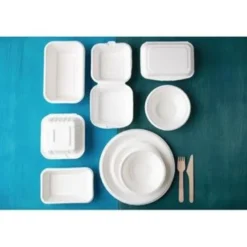 Lot de 250 barquettes à Charnière en Bagasse Compostable - Fiesta Green - DW248