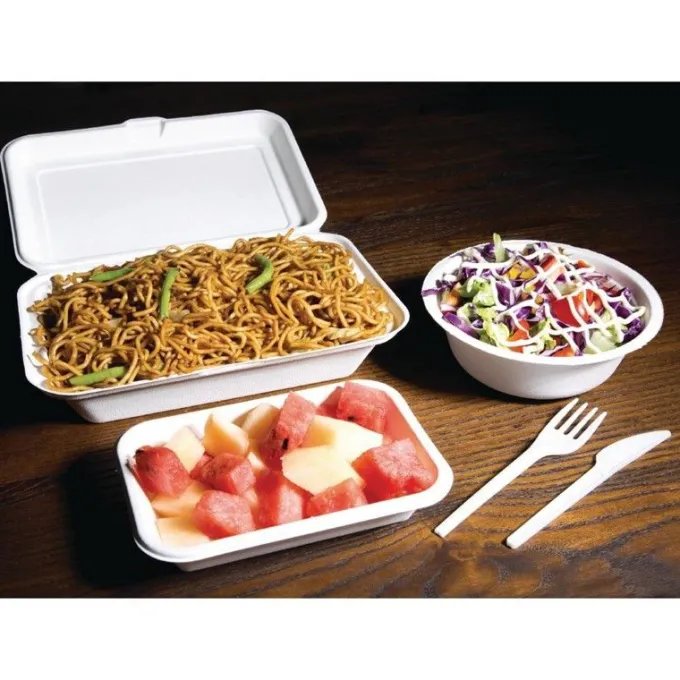 Lot de 250 barquettes à Charnière en Bagasse Compostable - Fiesta Green - DW249