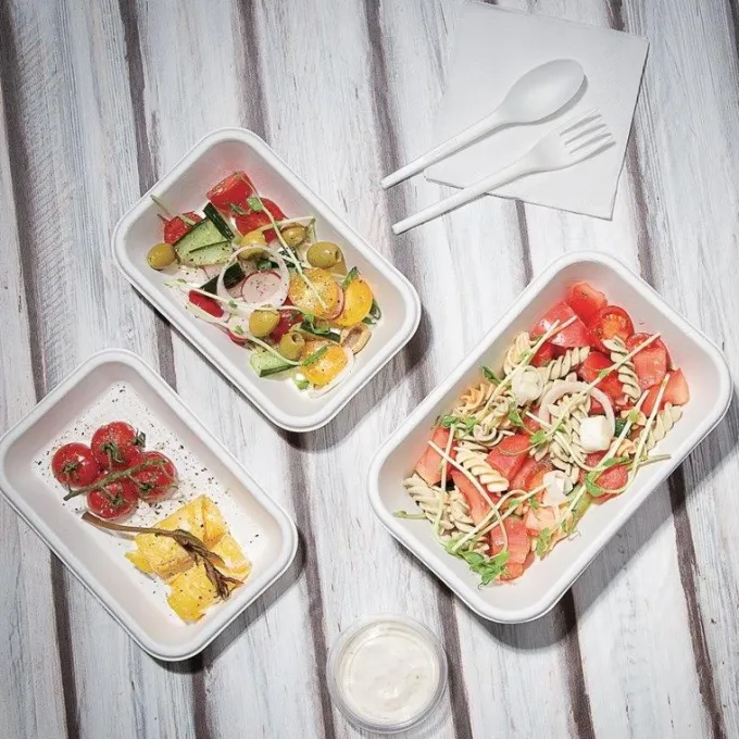 Lot de 50 barquettes en Bagasse Compostable - Fiesta Green - DW347