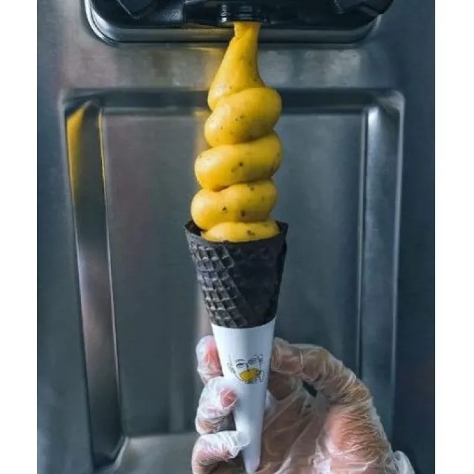 Machine à Glace à l'Italienne sur Roulettes - 2 Parfums + Panachage - 80 L/h - Spaceman