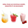 Machine à Granité & Milkshake sur Comptoir 2 Parfums 2 Cuves de 12 Litres - Spaceman