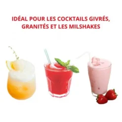 Machine à Granité & Milkshake sur Comptoir 2 Parfums 2 Cuves de 12 Litres - Spaceman