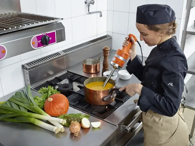 Mixeur Plongeant Professionnel Junior MX 225 - Ø94mm - Dynamic