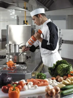 Mixeur Plongeant Professionnel Senior DMX 300 - Dynamic