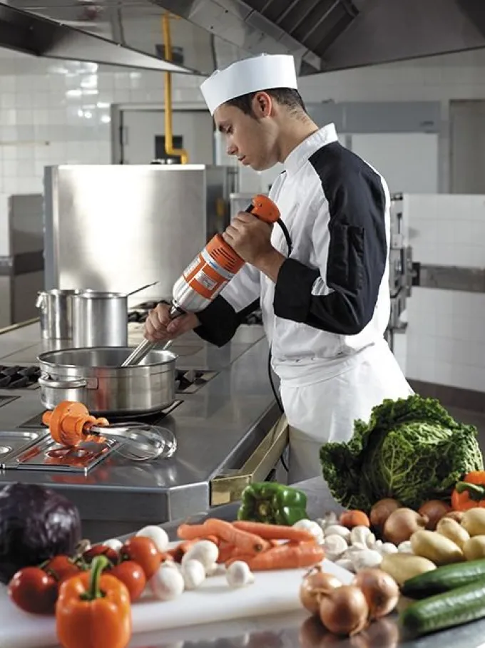 Mixeur Plongeant Professionnel Senior DMX 300 - Dynamic